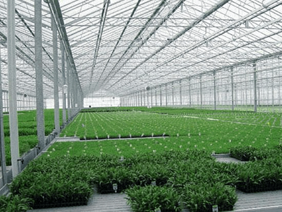 温室蔬菜大棚遭遇低温怎样预防？